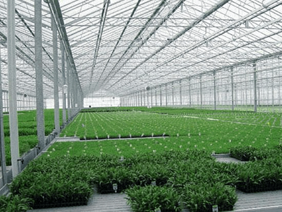 温室蔬菜大棚遭遇低温怎样预防？